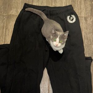 Pink sweat pants